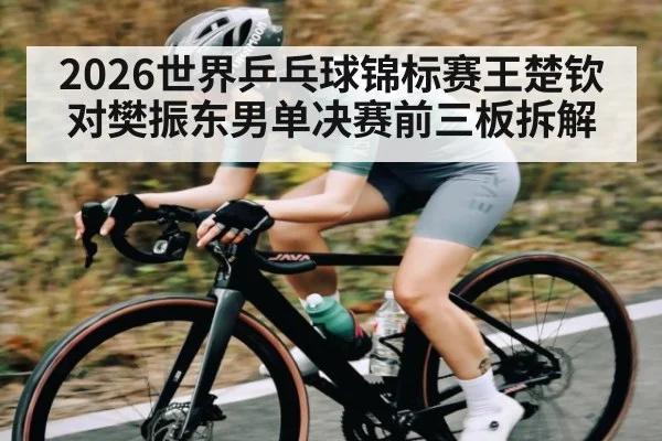 2026世界乒乓球锦标赛王楚钦对樊振东男单决赛前三板拆解